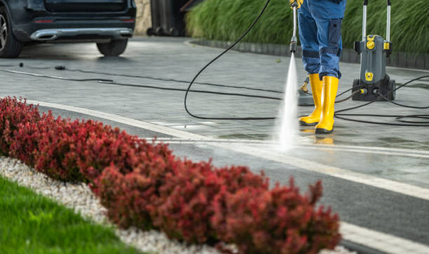 Best Sidewalk and Walkway Cleaning  in Ironton, MO